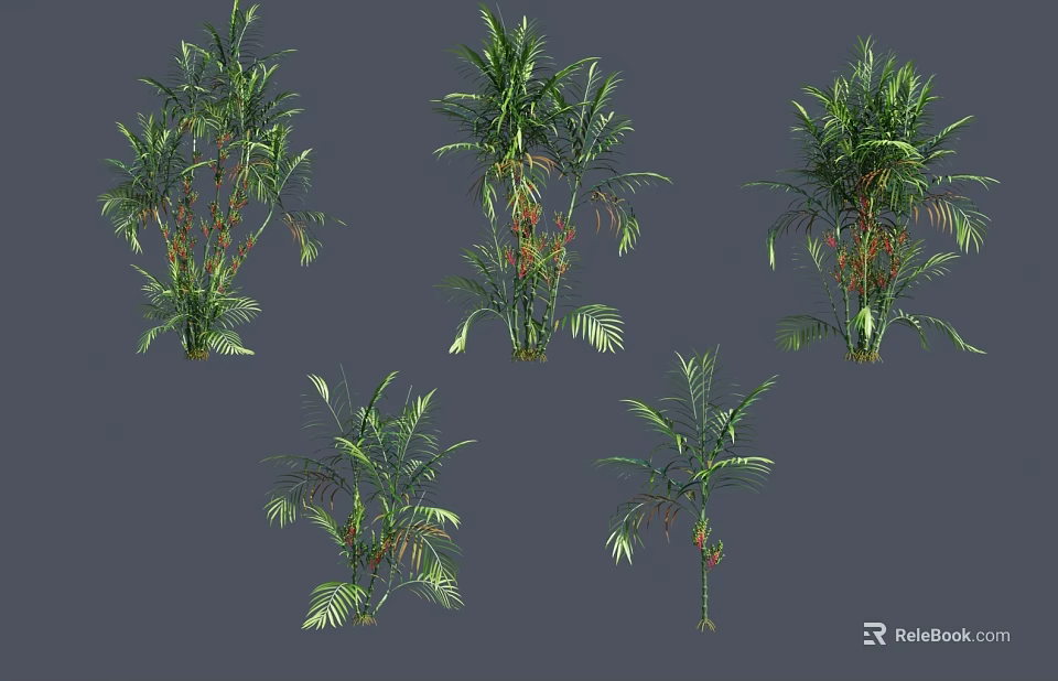 Various Green Tropical Plants With Different Leaf Shapes And Decorative Foliage 3d model 