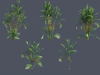 Various Green Tropical Plants With Different Leaf Shapes And Decorative Foliage 3d model