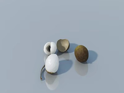 Peeled and Shelled Longan Fruits on Light Colored Surface with White Flesh 3d model