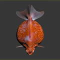 Vibrant Orange Spotted Round Fish With Bulbous Body And White Spots