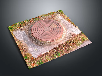 Green Plants Growing Around Circular Red Brick Structure On Stone Slab With Fallen Leaves 3d model