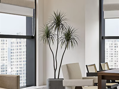 Modern Office Interior With Large Windows Tall Potted Plant Wooden Dining Table And Beige Chairs 3d model