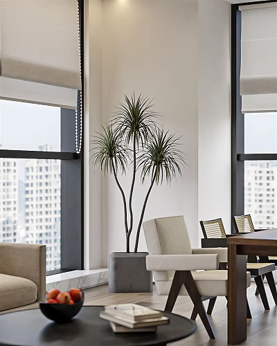 Modern Office Interior With Large Windows Tall Potted Plant Wooden Dining Table And Beige Chairs 3d model