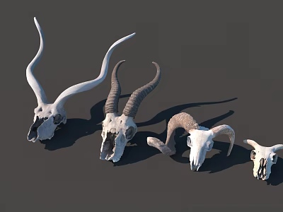 Advanced Medical Devices For Clinical Diagnosis And Treatment Applications 3d model