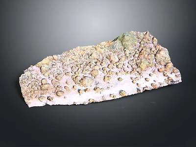 Natural Wood Stone with Rough Textured Surface and Brown Beige Pink Color Patterns 3d model