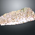 Natural Wood Stone with Rough Textured Surface and Brown Beige Pink Color Patterns