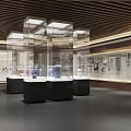 Elegant Exhibition Hall With Circular Central Structure Wooden Ceiling Display Cases And Wall Exhibits