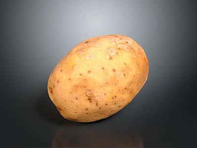 Fresh Organic Potato A Healthy Nutritious Ingredient For Daily Cooking Meals 3d model