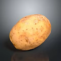 Fresh Organic Potato A Healthy Nutritious Ingredient For Daily Cooking Meals