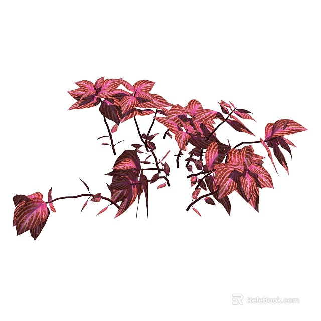 Vibrant Red Purple Leaves Growing on Plant Branches with Lush Foliage 3d model 