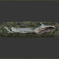 Rustic Wooden Log Decorative Piece With Green Moss And Grass Accents