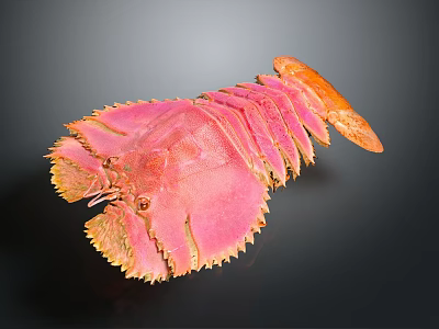 Vibrant Pink Spiny Lobster With Orange Claws Isolated On Dark Background 3d model