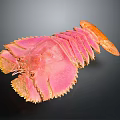 Vibrant Pink Spiny Lobster With Orange Claws Isolated On Dark Background