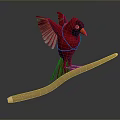 Red Cardinal Bird with Spread Wings Perched on Long Wooden Branch
