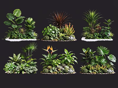 Decorative Plant Combinations Featuring Diverse Green Foliage And Assorted Plant Types 3d model