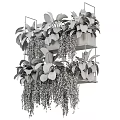 Stylish Floral Display With Multi Layered Shelf And Varied Hanging Foliage Plants