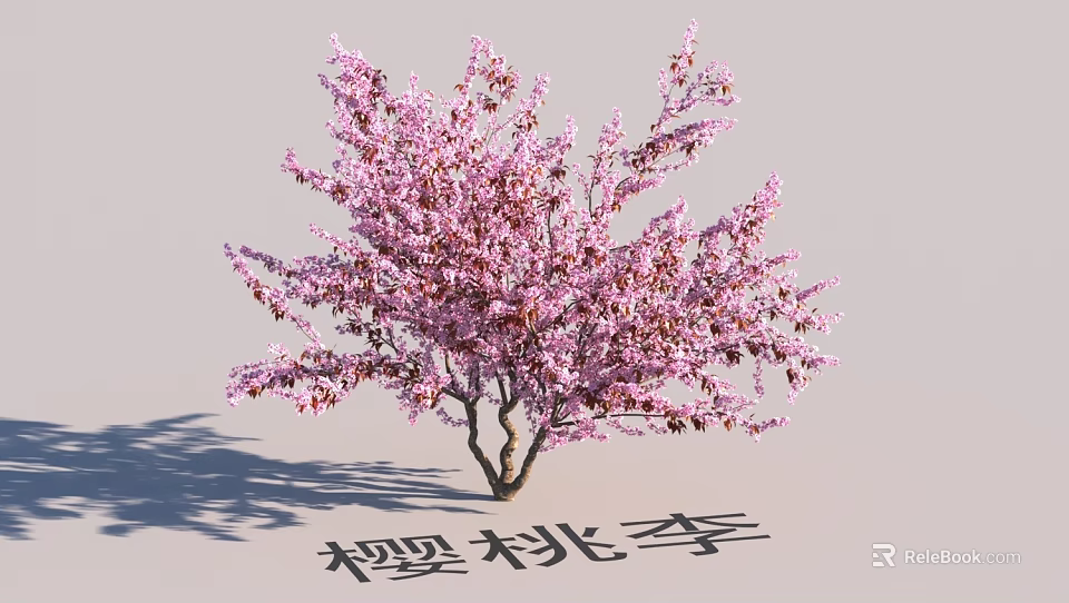 Beautiful Garden Landscape Featuring Cherry Plum Tree With Pink Blossoms 3d model 
