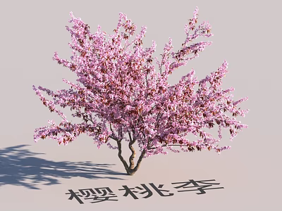 Beautiful Garden Landscape Featuring Cherry Plum Tree With Pink Blossoms 3d model