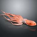 Orange Octopus With Detailed Tentacles And Shiny Reflection On Dark Background 3d model
