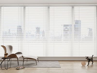 Modern venetian blinds model