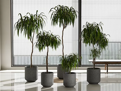 potted green plant combination 3d model
