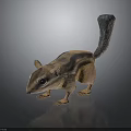 Striped Squirrel With Long Tail Standing On Black Background With Reflection
