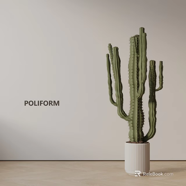 Tall Green Cactus Plant In White Pot Against Light Wall Background 3d model 