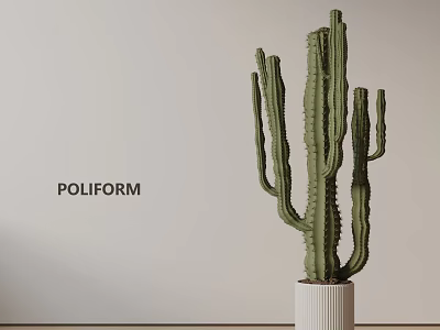 Tall Green Cactus Plant In White Pot Against Light Wall Background 3d model