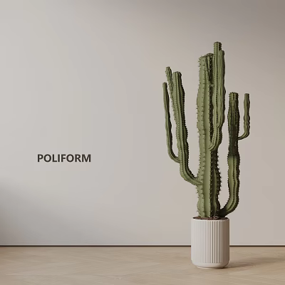 Tall Green Cactus Plant In White Pot Against Light Wall Background 3d model