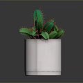 Decorative Green Cactus Plant With Red Thorns In White Textured Pot