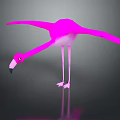 Pink Flamingo With Spread Wings Bowing Head And Reflection On Dark Surface 3d model