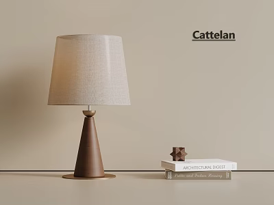 Cattelan Modern Table Lamp With Beige Fabric Lampshade Brown Cone Base And Decorative Star Near Books 3d model
