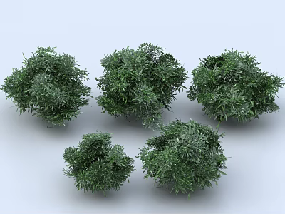 Green Leafy Shrubs With Various Sizes And Lush Foliage For Garden Decoration 3d model