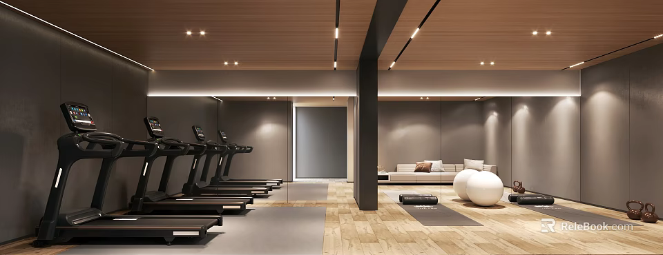 Modern Recreation Room With Treadmills Exercise Balls And Sofa 3d model 