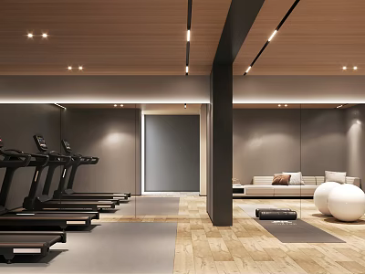 Modern Recreation Room With Treadmills Exercise Balls And Sofa 3d model