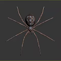 Realistic 3D Spider With Long Pink Legs Dark Body And Blue Spots On Dark Background