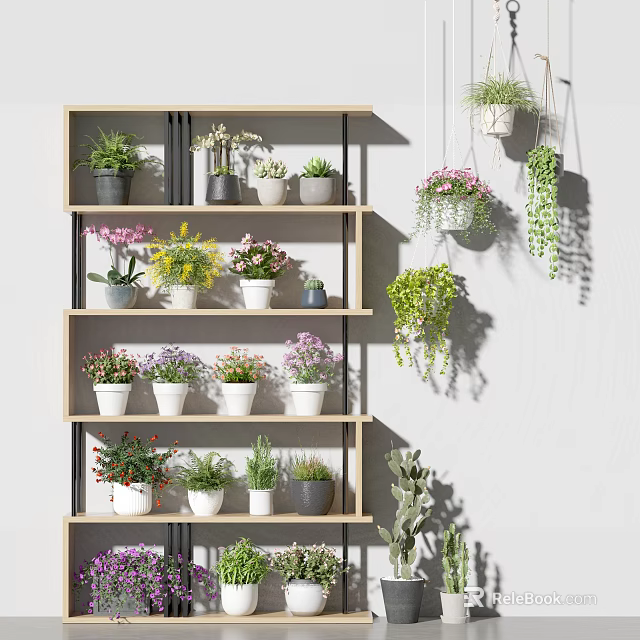 Various Potted Plants on Wooden Shelf with Sizes Types and Hanging Varieties Against Gray Wall 3d model 