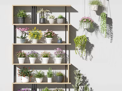 Various Potted Plants on Wooden Shelf with Sizes Types and Hanging Varieties Against Gray Wall 3d model