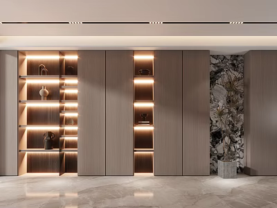 Elegant Modern Decorative Cabinet With Wooden Layered Shelves LED Lighting And Decorations 3d model