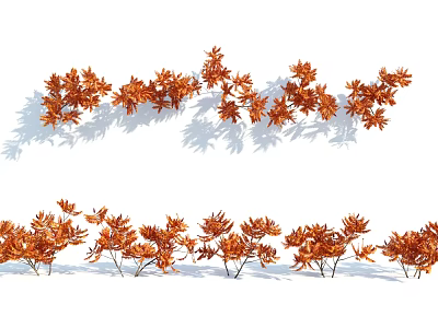 Sunlit Outdoor Shrubs With Orange Leaves Arranged In A Row And Shadows 3d model