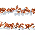 Sunlit Outdoor Shrubs With Orange Leaves Arranged In A Row And Shadows