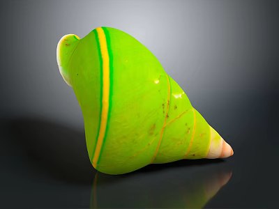 Green Conch Shell Organ Structure With Yellow Stripes And Hairy Texture 3d model