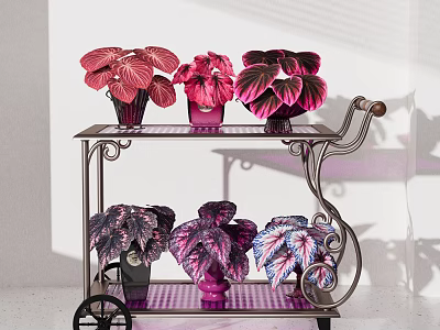 Colorful Potted Plants On Tiered Metal Cart With Red Purple Pink Leaves Light Shadow Effects 3d model