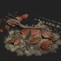 Natural Landscape With Scattered Red Rocks Driftwood And Dry Grass