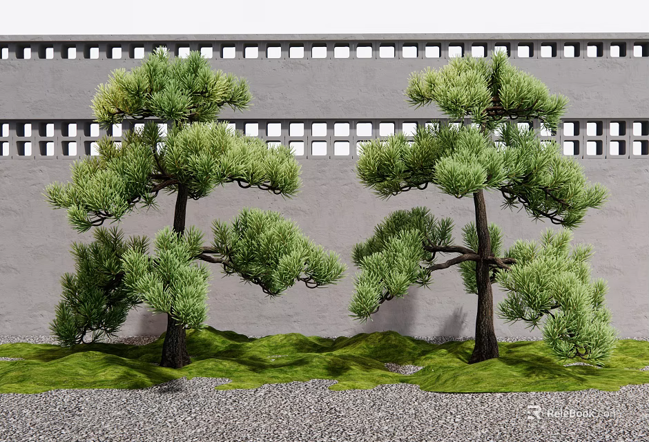Pine Trees in Garden With Gray Wall Lattice Design Green Lawn and Gravel Ground 3d model 