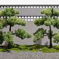 Pine Trees in Garden With Gray Wall Lattice Design Green Lawn and Gravel Ground
