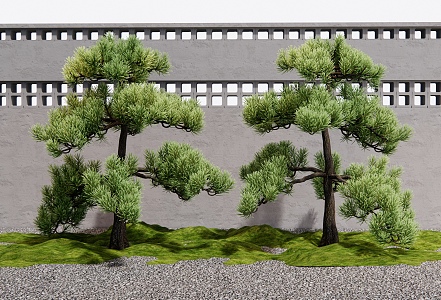 Pine Lohan pine landscape tree fence 3d model