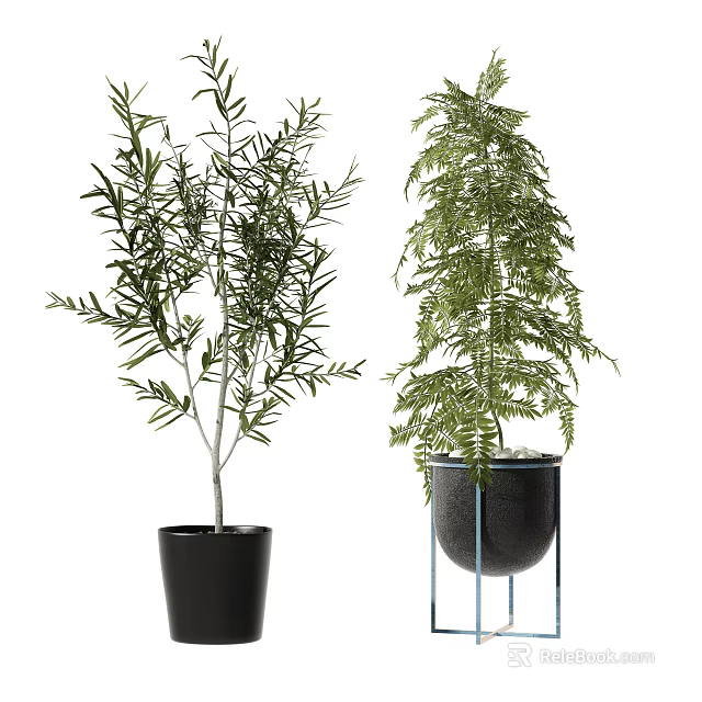 Indoor Decorative Bonsai Potted Plants With Different Leaf Types Black Pots And Stand Base 3d model 