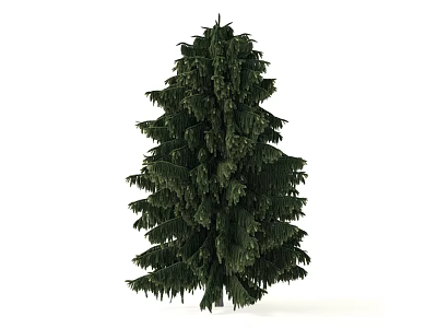 Tall Evergreen Arbor With Dense Green Foliage And Natural Canopy Shape 3d model