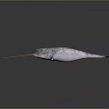 3D Model Of Gray Aquatic Creature With Long Snout Streamlined Body